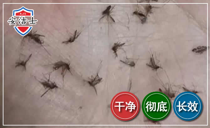 庆元蚊子防治-灭蚊