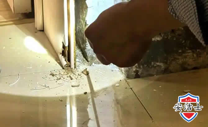 庆元房屋建筑防治白蚁