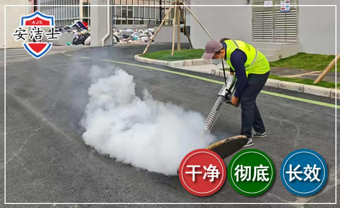 庆元消杀防疫现场