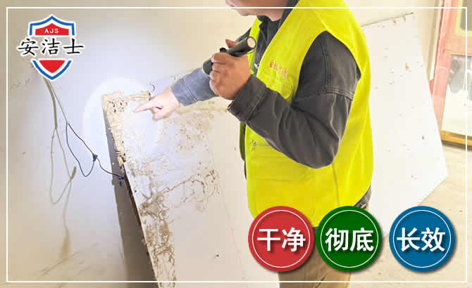 庆元除白蚁现场